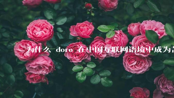为什么 doro 在中国互联网语境中成为苦情角色了？